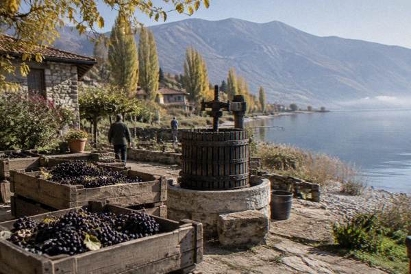 S&S Winery Tour Plus Tasting, Ohrid