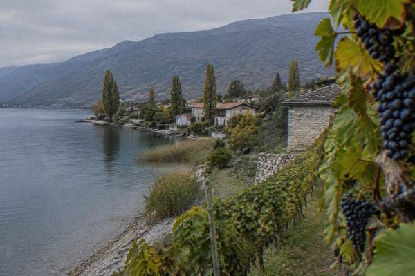 Budget Tasting, 2 Hours 30, Ohrid