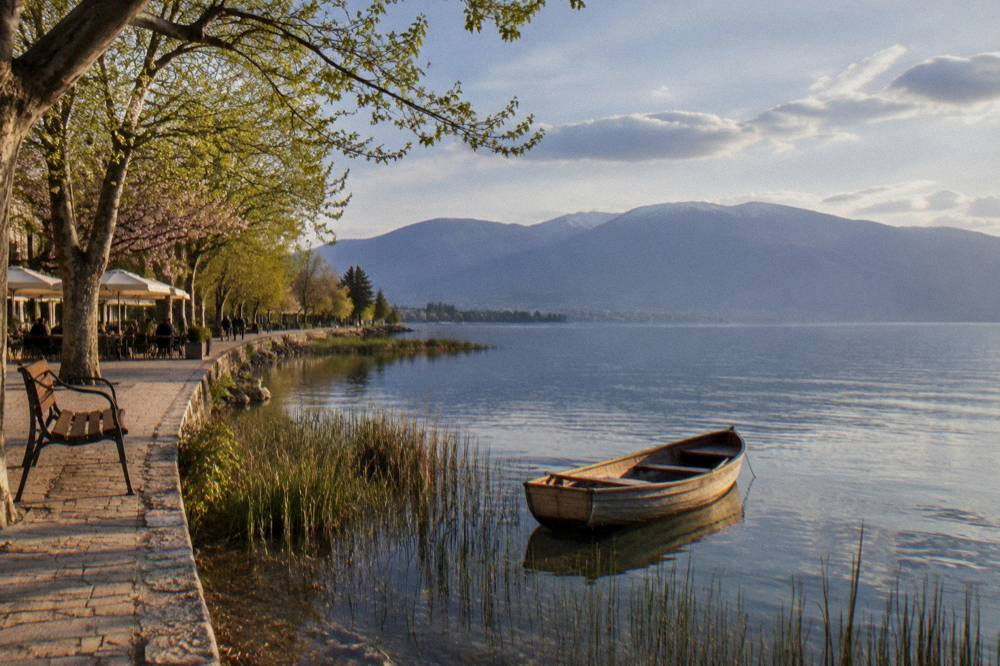 A wooden rowboat drifting over clear spring water among reeds