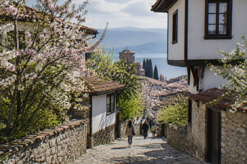 Cherry blossom trees flowering along a stone lane in Ohrid old town